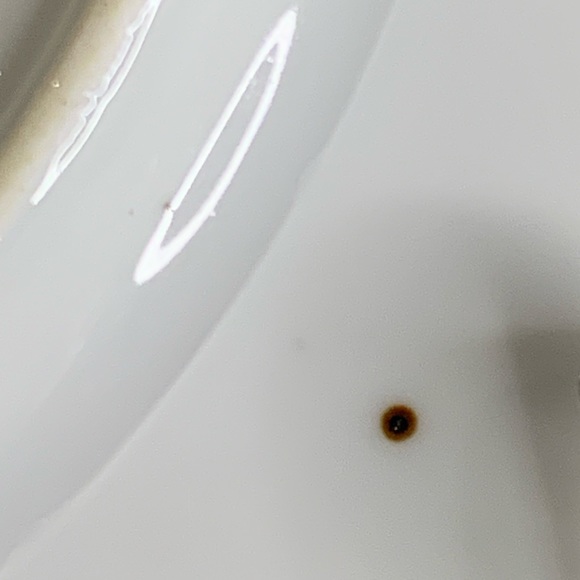 Antique Victoria Austria Floral 10" Porcelain Open Handled Cake Plate Green Trim - Picture 7 of 8